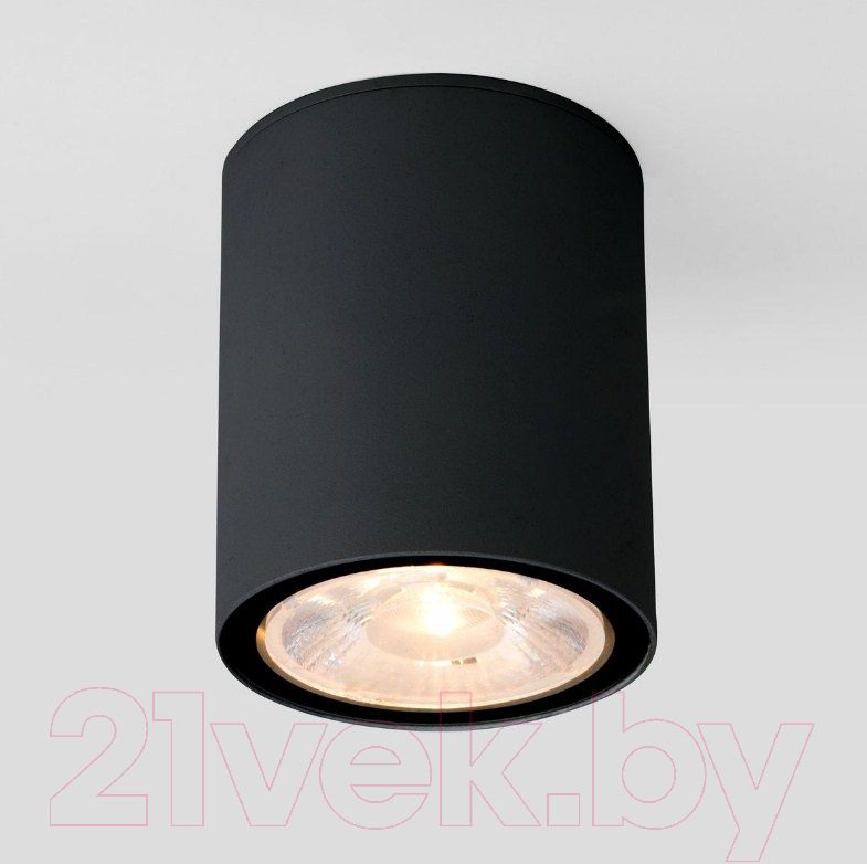 Светильник уличный Elektrostandard Light 2103 35131/H (черный)