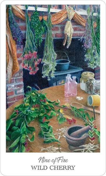 Гадальные карты U.S. Games Systems The Herbcrafter`s Tarot / HCT78