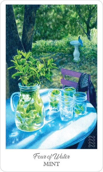 Гадальные карты U.S. Games Systems The Herbcrafter`s Tarot / HCT78
