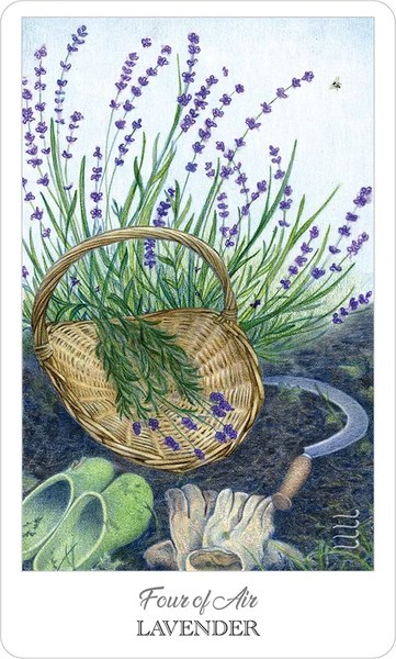 Гадальные карты U.S. Games Systems The Herbcrafter`s Tarot / HCT78