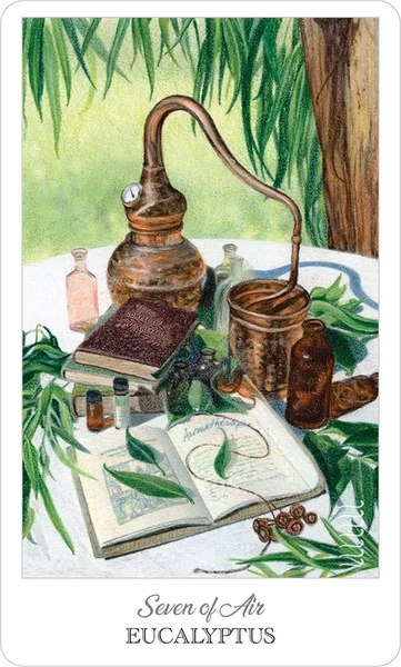 Гадальные карты U.S. Games Systems The Herbcrafter`s Tarot / HCT78