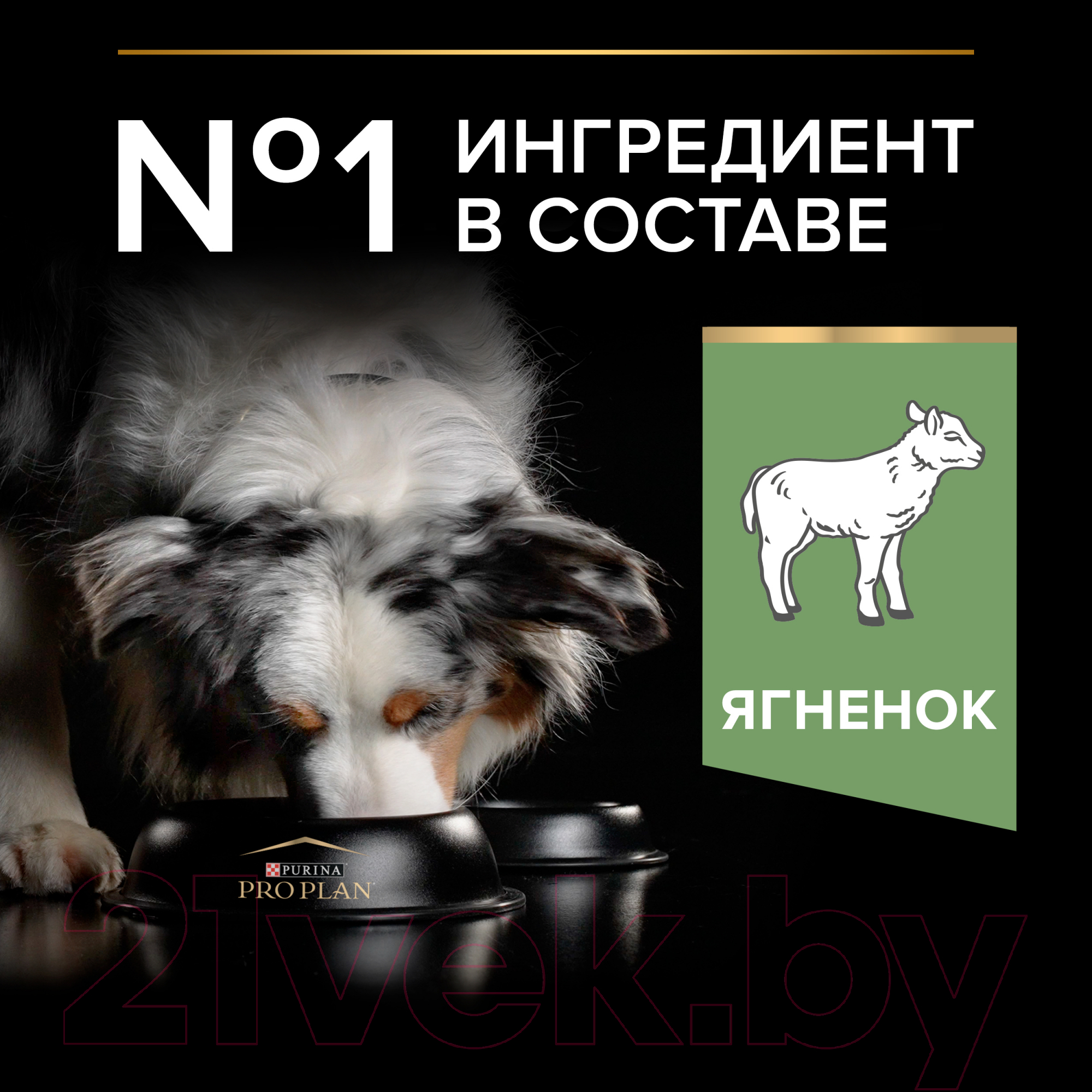 Сухой корм для собак Pro Plan Adult Medium Sensitive Digestion с ягненком (7кг) — фото 5