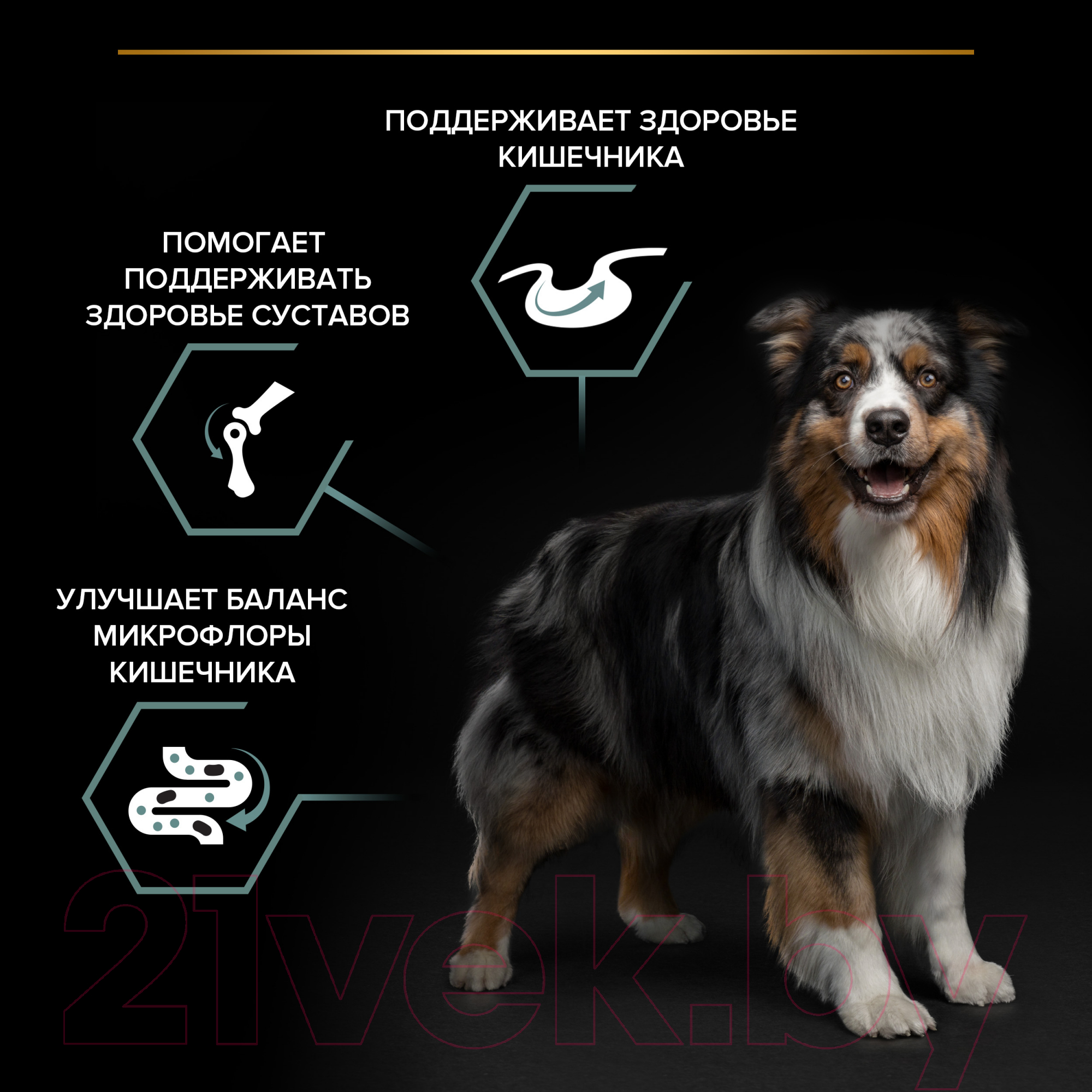 Сухой корм для собак Pro Plan Adult Medium Sensitive Digestion с ягненком (7кг) — фото 3