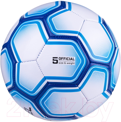 Футбольный мяч Jogel Intro BC20 (размер 5, белый)