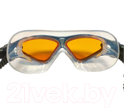 Очки для плавания ZoggS Tri-Vision Mask / 307919 (серый/коричневый)