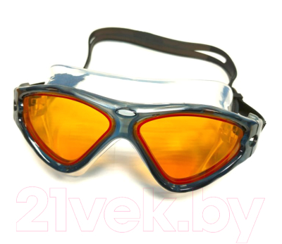 Очки для плавания ZoggS Tri-Vision Mask / 307919 (серый/коричневый)
