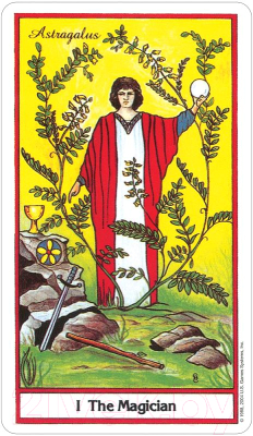 Изображение товара Гадальные карты U.S. Games Systems Herbal Tarot Deck / HE78