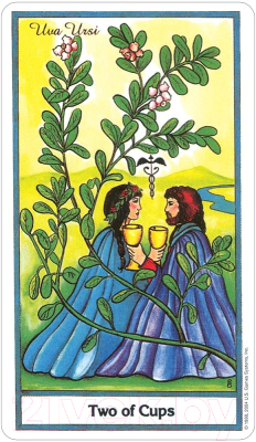 Изображение товара Гадальные карты U.S. Games Systems Herbal Tarot Deck / HE78