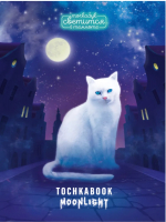 

Записная книжка, Кошка в ночном городе / 4610144800372