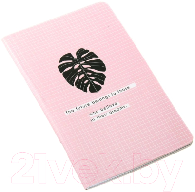 Записная книжка Be Smart Abstract Листок / N2467 (48л, розовый)