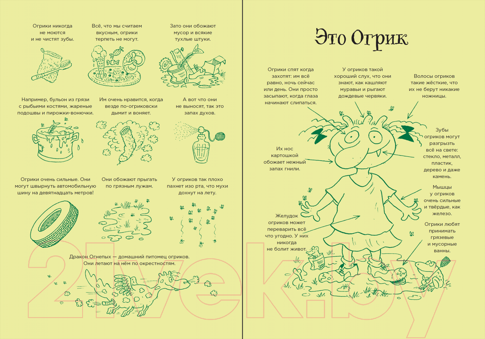 Художественная книга Альпина Огрики из Грязьбурга (Эрхард Д.) — фото 6