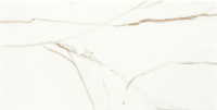 Плитка Arte S-Floris White (308x608) - 