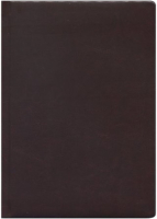 

Ежедневник, Виладж / 128П-1871