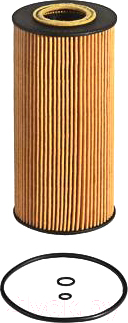 Масляный фильтр Ashika 10-ECO031