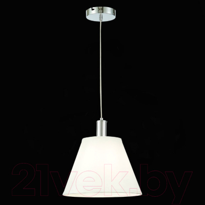 Потолочный светильник Evoluce Monza SLE111303-01