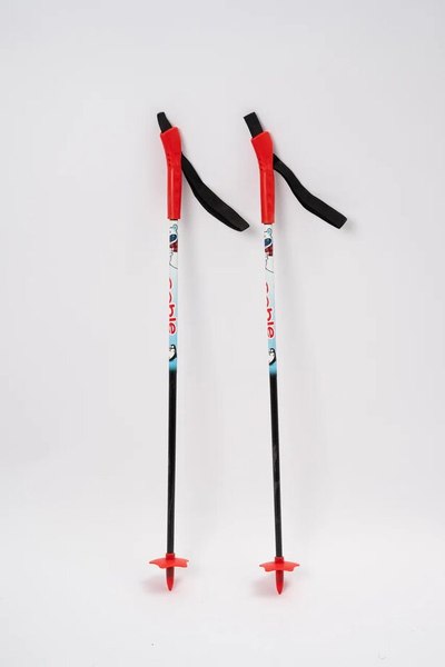 Комплект беговых лыж STC Snowmatic Step K3 (110/75)