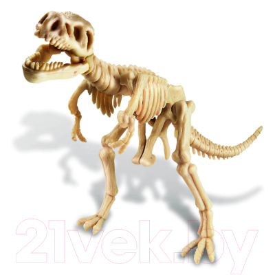 Набор для опытов 4M Раскопай скелет. Тираннозавр / 00-03221