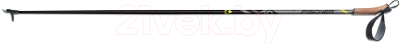 

Палки для беговых лыж Fischer, Серый;черный, Superlight / Z44020