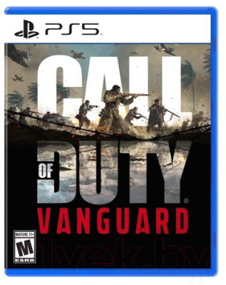 Игра для игровой консоли Sony PlayStation 5 Call of Duty: Vanguard / 1CSC20005295