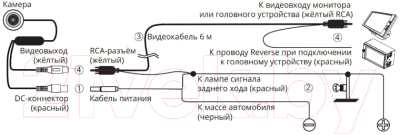 Камера заднего вида Prology RVC-220