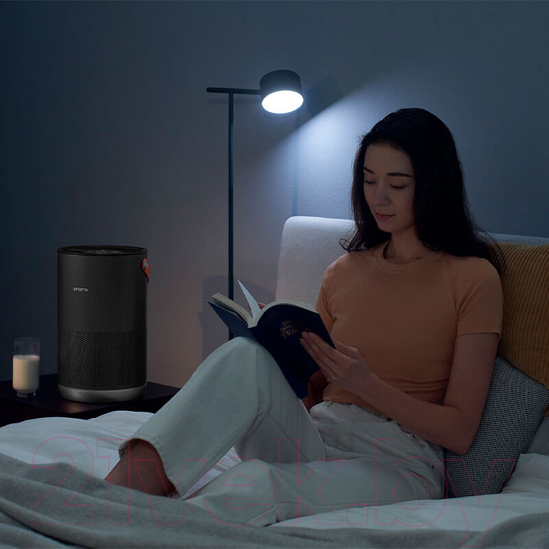 Очиститель воздуха SmartMi Air Purifier P1 / ZMKQJHQP11 (темно-серый) — фото 6