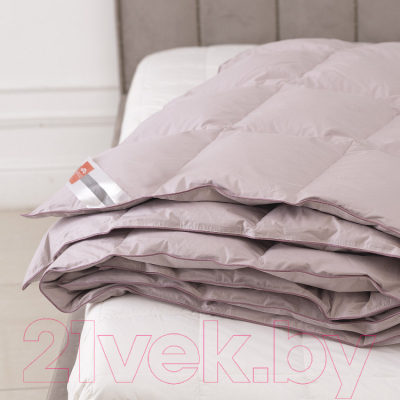 Одеяло Kariguz Special Pink / СП21-4-2 (172x205)