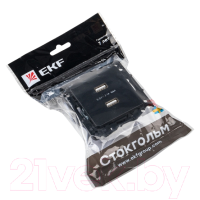 Розетка EKF PROxima Стокгольм EZR16-028-10-2USB (черный)