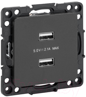 Розетка EKF PROxima Стокгольм EZR16-028-10-2USB (черный)