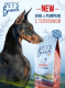 Миниатюра изображения товара Сухой корм для собак Pet's Brunch Adult Maxi Breeds с телятиной (4кг)