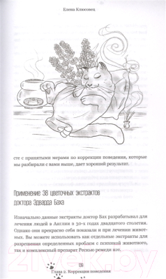 Книга АСТ На одном языке с кошкой (Клюсовец Е.В.)
