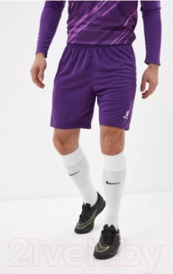 Футбольная форма Kelme Goalkeeper L/S Suit / 3801286-500 (4XL, фиолетовый)