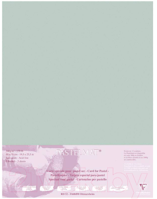 Бумага для рисования Clairefontaine PastelMat / 197021C (светло-зеленый)