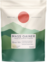 Гейнер Elementica Organic Mass Gainer / EMG002 (1000гр, ванильный пломбир) - 