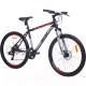 Велосипед AIST Rocky 1.0 Disc 29 2021 (17.5, серый/черный) - 