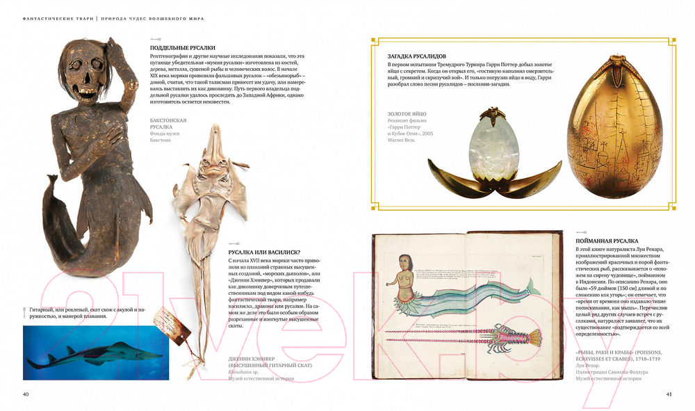 Книга Махаон Фантастические твари. Природа чудес волшебного мира