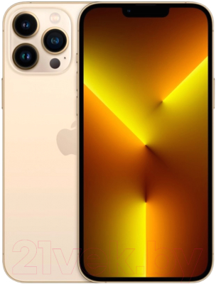 Смартфон Apple iPhone 13 Pro Max 256GB / MLMG3 (золотой)