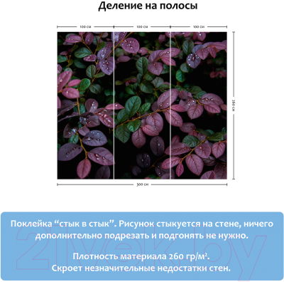 Фотообои листовые Citydecor Роса 3D (300x260)
