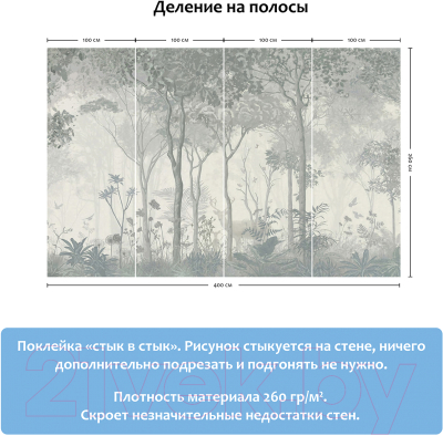 Фотообои листовые Citydecor Таинственный лес (400x260)