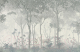 Фотообои листовые Citydecor Таинственный лес (400x260) - 