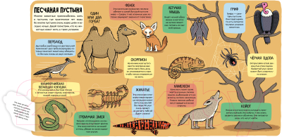 Развивающая книга CLEVER Маленькие исследователи. Мир животных