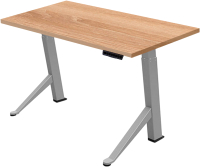 

Письменный стол Fit Focus, с электроприводом одномоторный 68.5-113x130x67.5