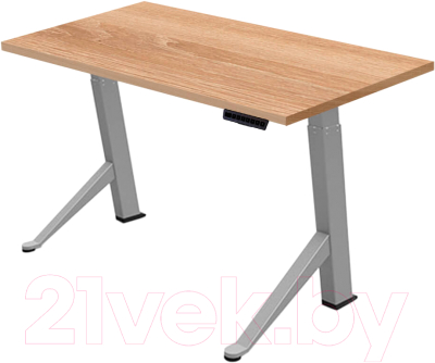 

Письменный стол Fit Focus, с электроприводом одномоторный 68.5-113x130x67.5