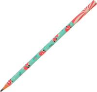 

Простой карандаш Bruno Visconti, ArtGraphix. Zefir. Lollipop. Лисички / 21-0049/18