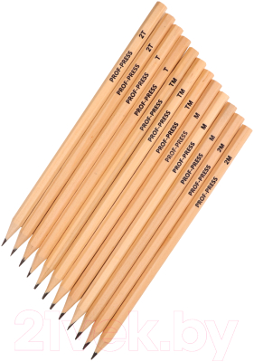 Набор простых карандашей Проф-Пресс КЧ-4872 (12шт)