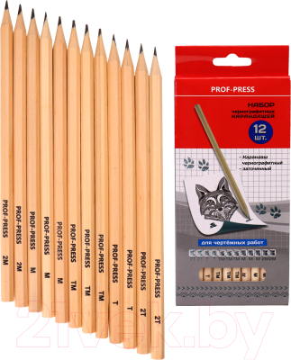 Набор простых карандашей Проф-Пресс КЧ-4872 (12шт)