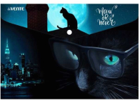 

Папка-конверт deVente, Night City Cat / 3079100