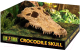 Декорация для террариума Exo Terra Череп крокодила PT2856 / H228565 - 