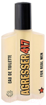 Туалетная вода Positive Parfum Aerostar Agresser 417 (100мл)