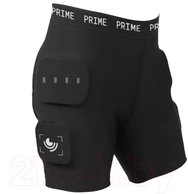 Защитные шорты горнолыжные Prime Snowboards Armour Pants / 50136 (L, черный)
