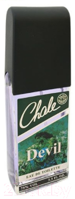 Изображение товара Туалетная вода Positive Parfum Chale Devil (100мл)